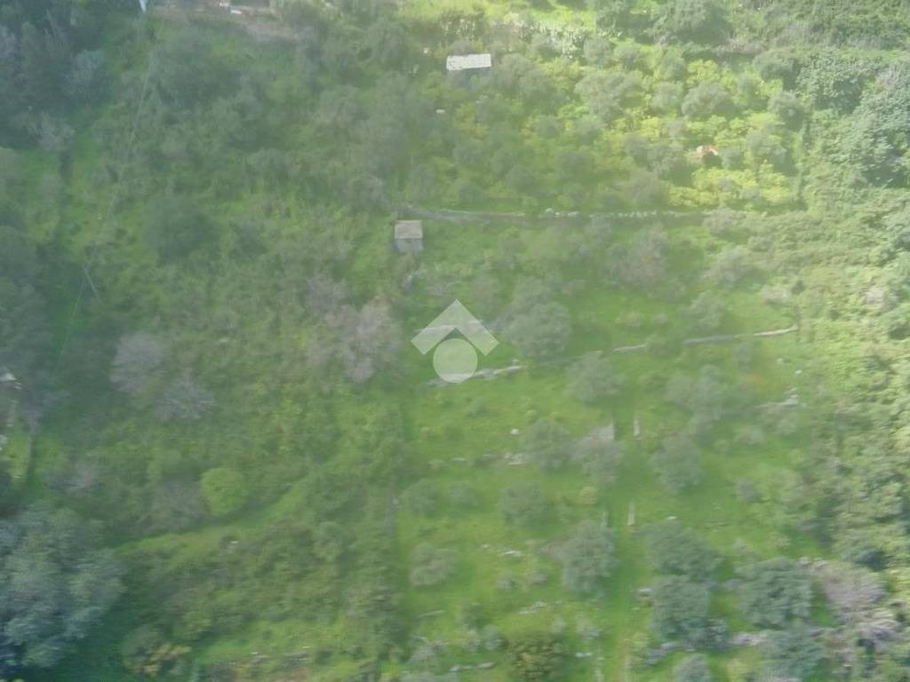 terreno agricolo in vendita a Carini