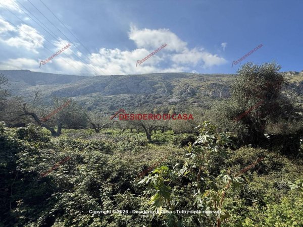 terreno agricolo in vendita a Carini