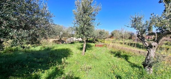 appartamento in vendita a Carini