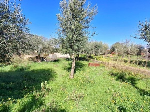 casa indipendente in vendita a Carini