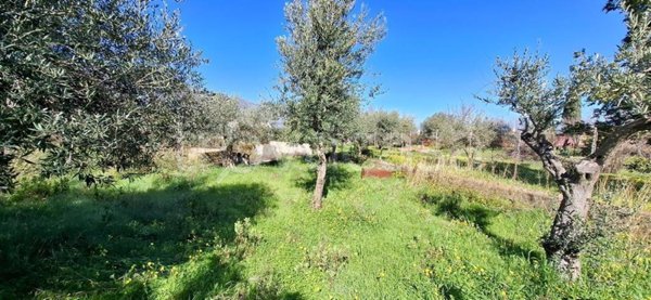 casa indipendente in vendita a Carini