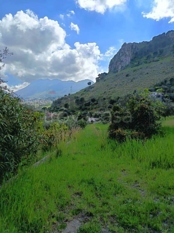 terreno agricolo in vendita a Carini