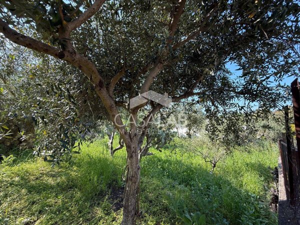 casa indipendente in vendita a Carini