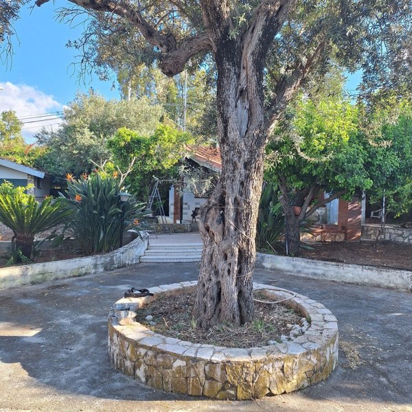 casa indipendente in vendita a Carini in zona Piraineto