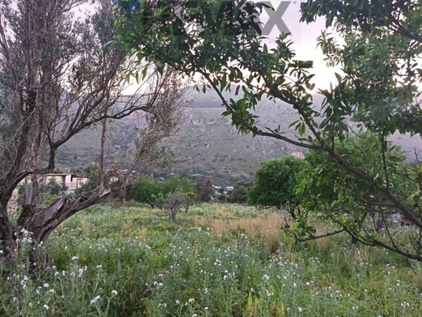 terreno agricolo in vendita a Carini