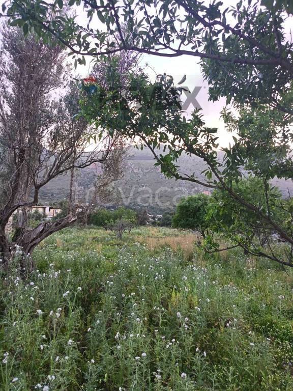 terreno agricolo in vendita a Carini