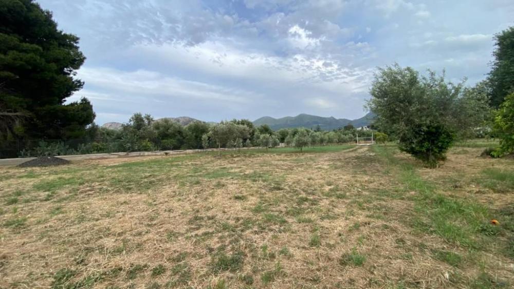 terreno agricolo in vendita a Carini in zona Villagrazia di Carini