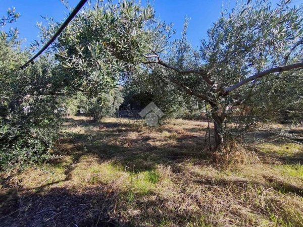 terreno agricolo in vendita a Carini