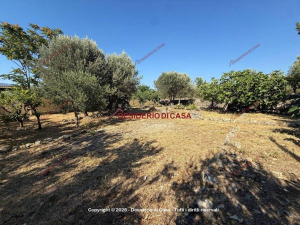 terreno agricolo in vendita a Carini