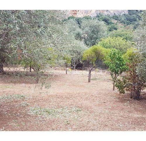 terreno agricolo in vendita a Carini in zona Bivio Foresta