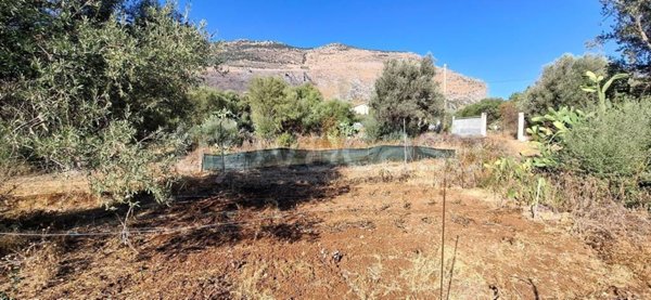 terreno agricolo in vendita a Carini