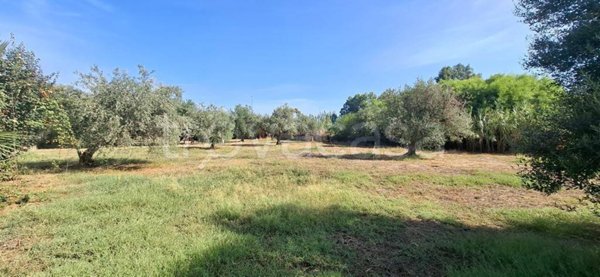terreno in vendita a Carini