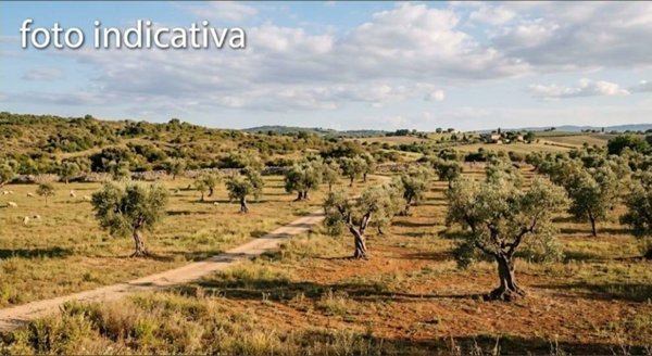 terreno in vendita a Carini in zona Piraineto