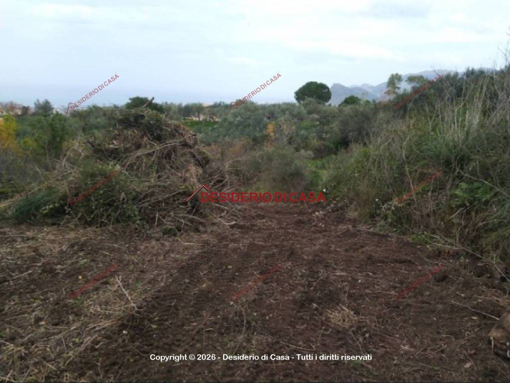 terreno in vendita a Carini