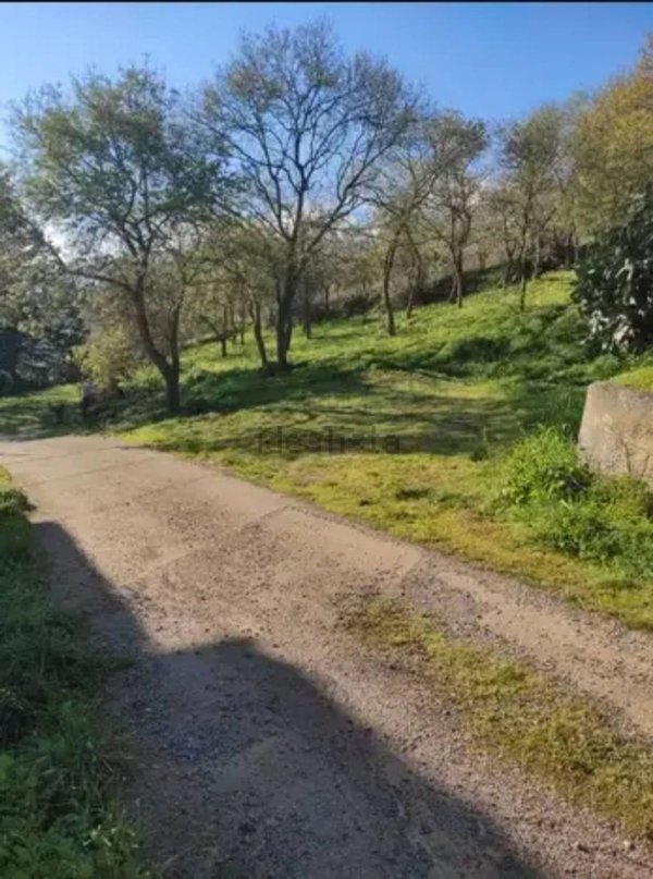 casa indipendente in vendita a Castelbuono
