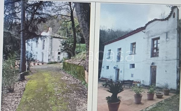 casa indipendente in vendita a Castelbuono
