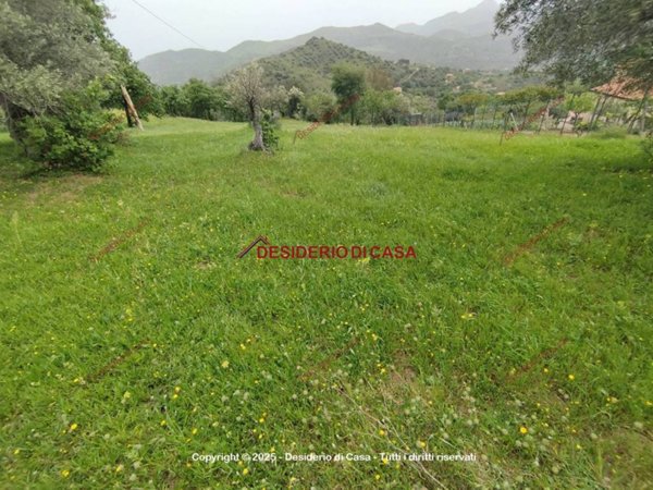 terreno agricolo in vendita a Castelbuono