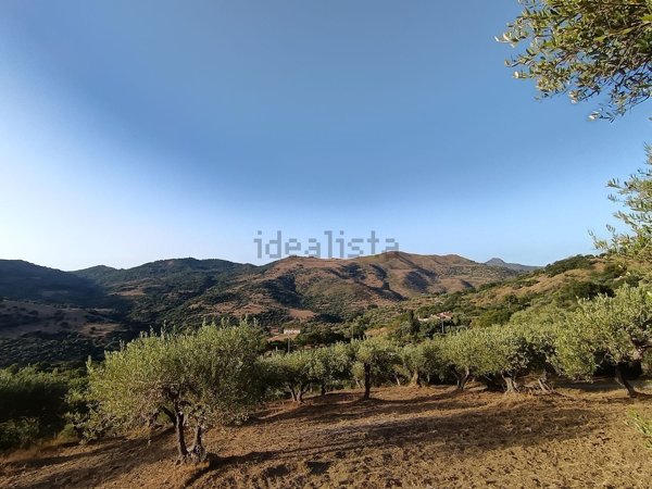 terreno agricolo in vendita a Castelbuono
