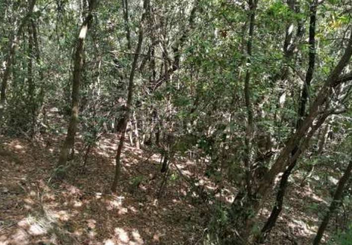 casa indipendente in vendita a Castelbuono