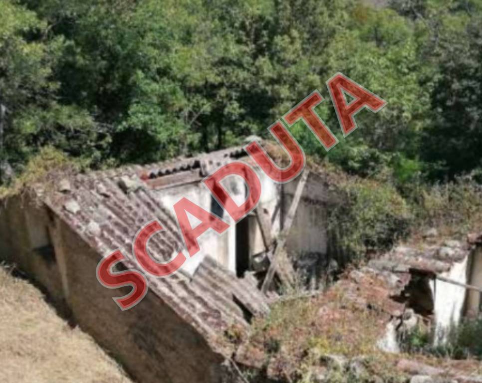 casa indipendente in vendita a Castelbuono