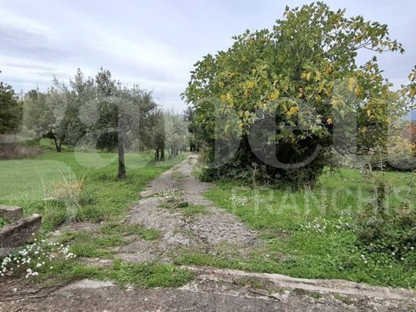 terreno agricolo in vendita a Castelbuono