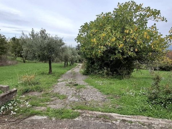 terreno agricolo in vendita a Castelbuono