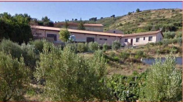 pentavano in vendita a Castelbuono