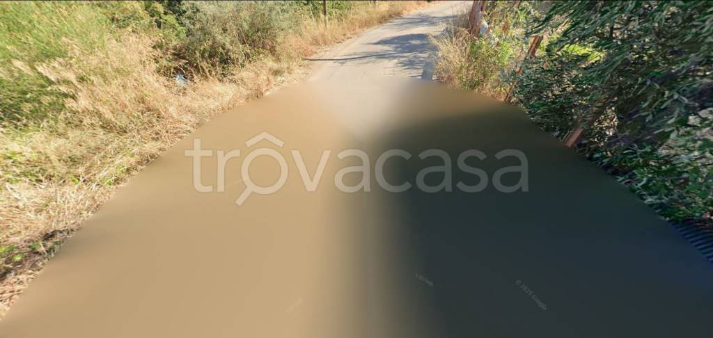 terreno agricolo in vendita a Castelbuono