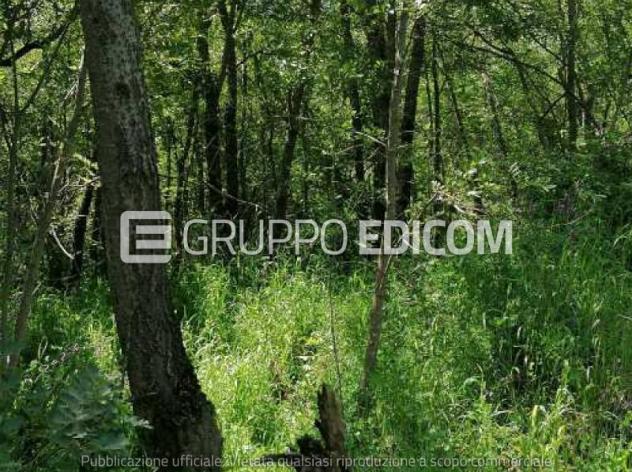 rudere in vendita a Castelbuono