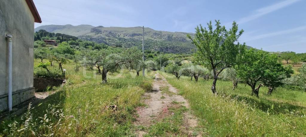 casa indipendente in vendita a Castelbuono