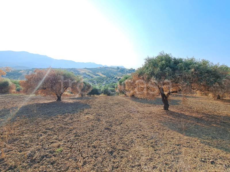 terreno agricolo in vendita a Casteldaccia