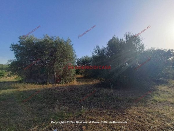 terreno agricolo in vendita a Casteldaccia