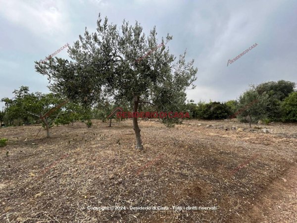 terreno agricolo in vendita a Casteldaccia