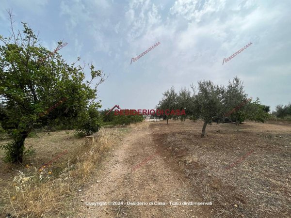 terreno agricolo in vendita a Casteldaccia