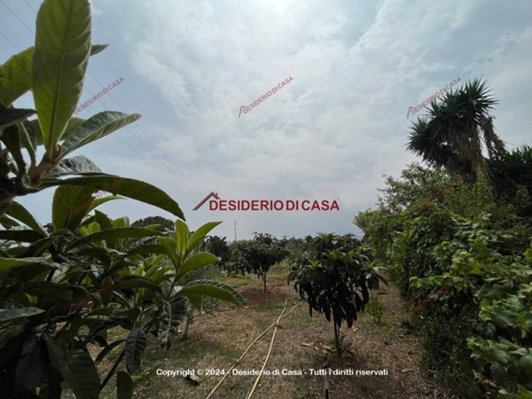 terreno agricolo in vendita a Casteldaccia