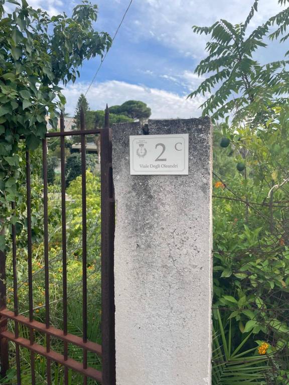 terreno agricolo in vendita a Casteldaccia