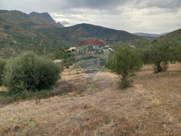 terreno agricolo in vendita a Casteldaccia