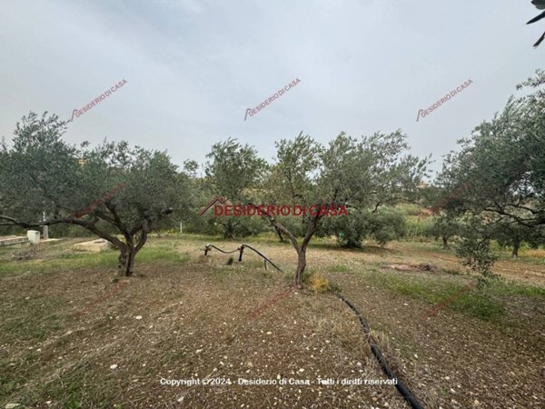 terreno agricolo in vendita a Casteldaccia