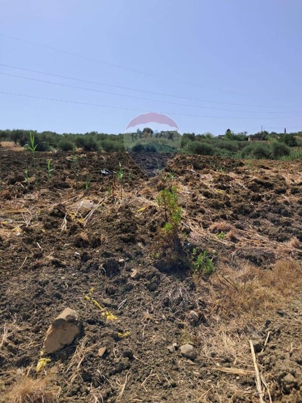 terreno agricolo in vendita a Casteldaccia