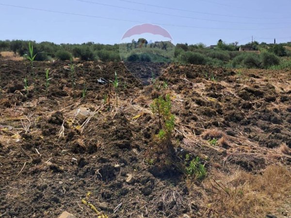 terreno agricolo in vendita a Casteldaccia