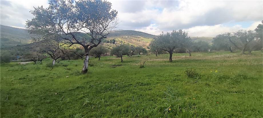 terreno agricolo in vendita a Casteldaccia