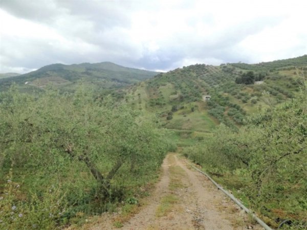 terreno agricolo in vendita a Casteldaccia