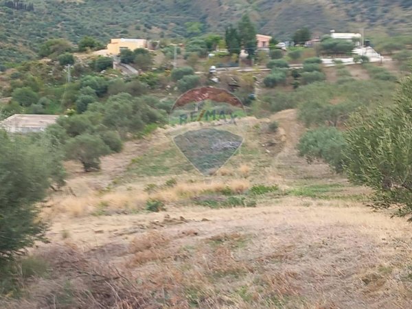 terreno agricolo in vendita a Casteldaccia