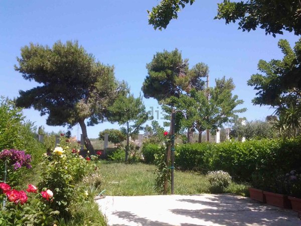 casa indipendente in vendita a Casteldaccia