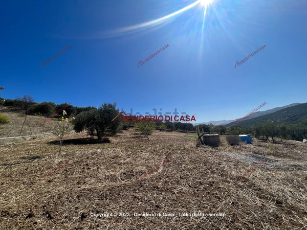 terreno agricolo in vendita a Casteldaccia