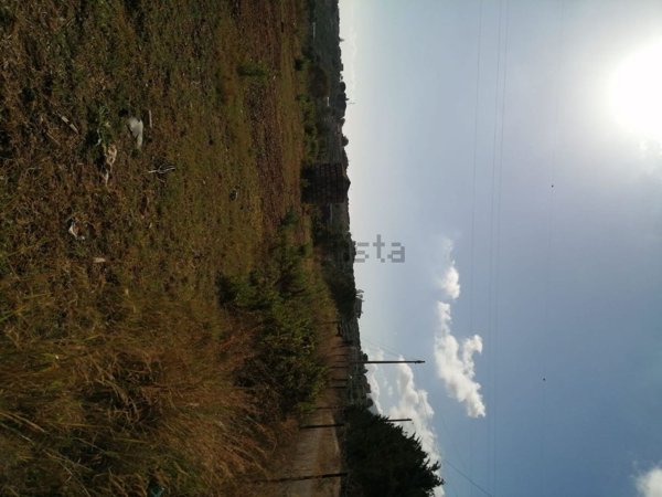terreno agricolo in vendita a Casteldaccia