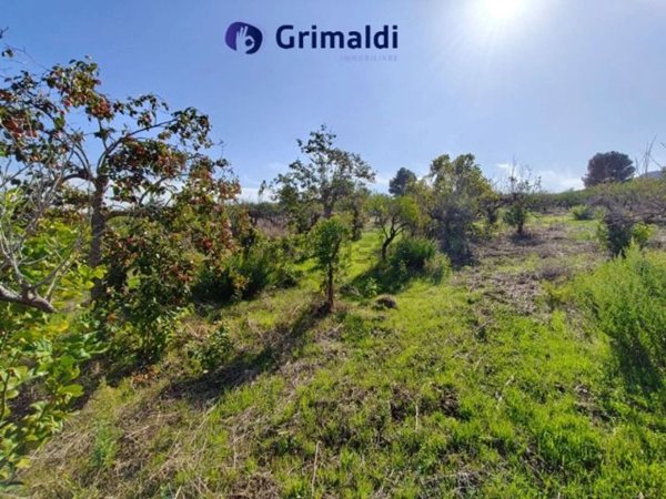 terreno agricolo in vendita a Casteldaccia