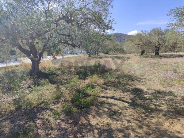 immagine annuncio 0 di 9