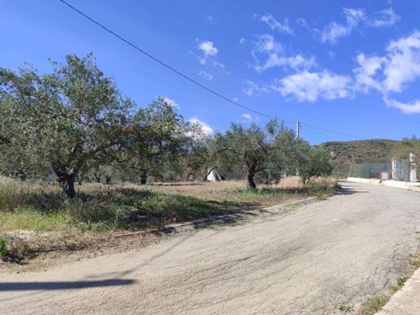 terreno agricolo in vendita a Casteldaccia