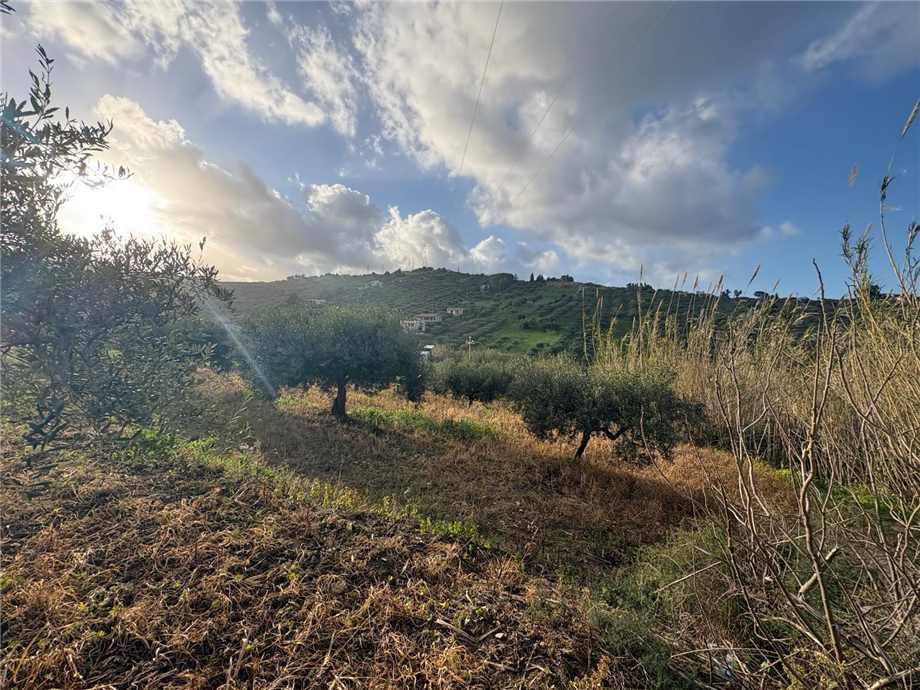 terreno agricolo in vendita a Casteldaccia